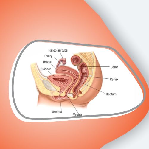 Obstetrics and Gynecology Treatment in lucknow